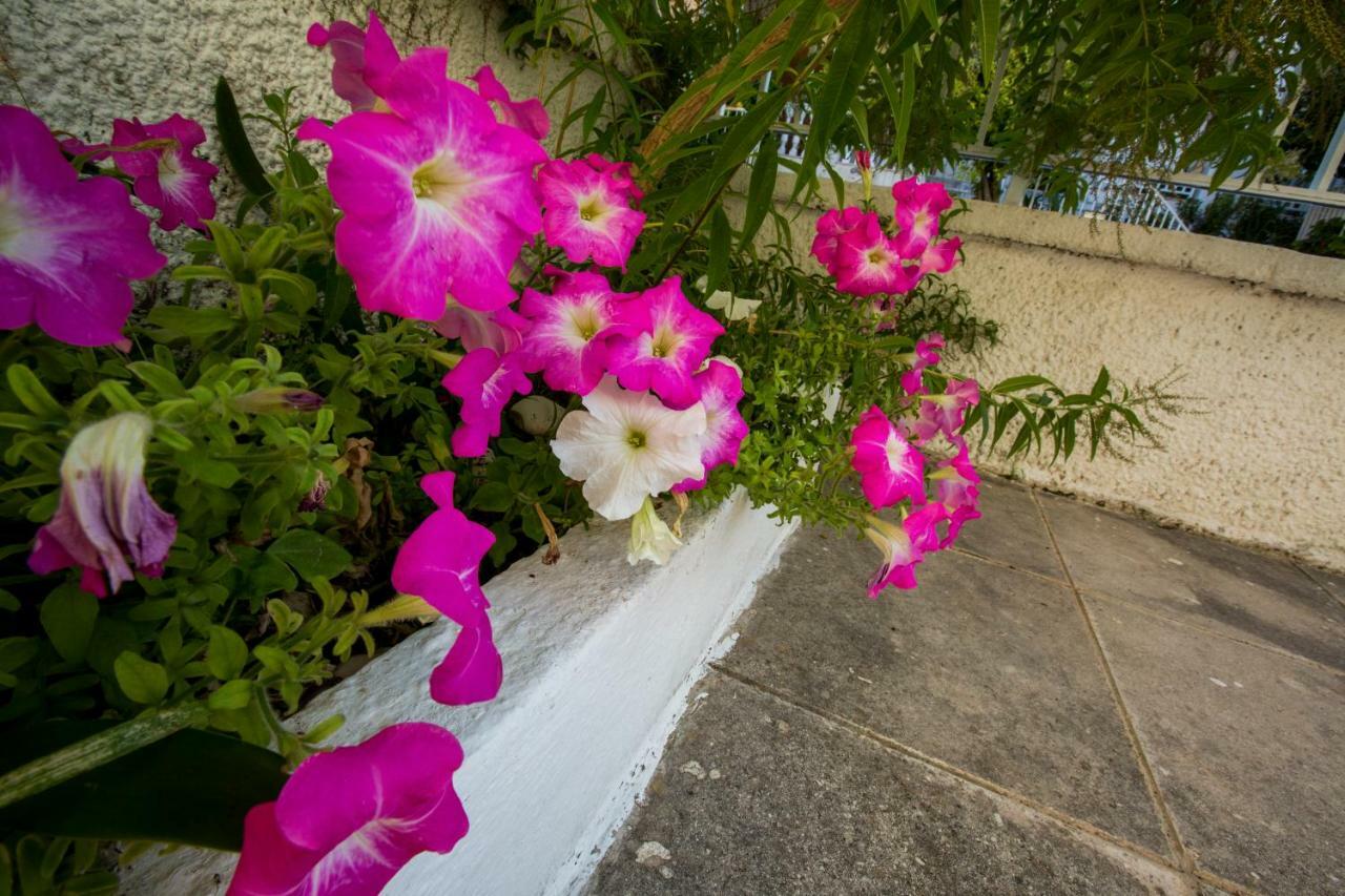 Marietta's Townhouse Vakantiehuis *
